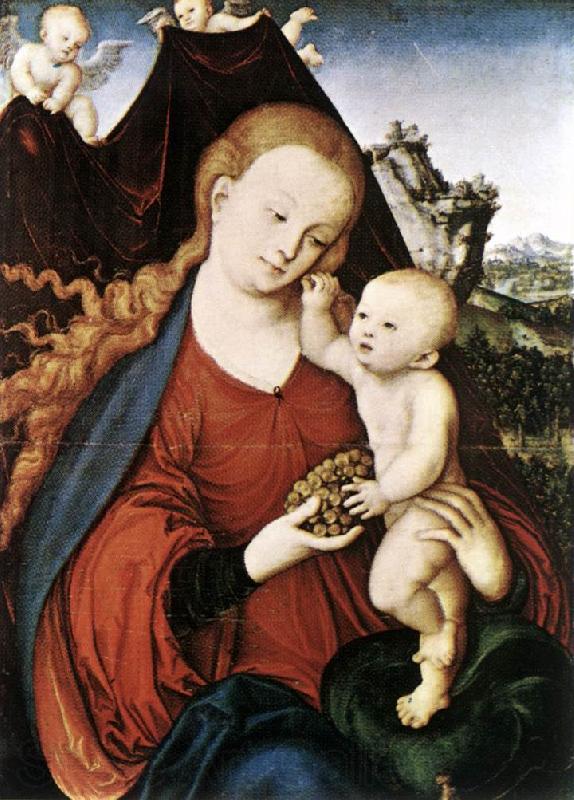 CRANACH, Lucas the Elder Madonna and Child fgd142 Norge oil painting art